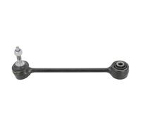 MOOG LR-LS-10624 Stabilizzatore