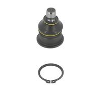 Moog RE-BJ-2094 Giunto di supporto/guida | Compatibile con: RENAULT MEGANE II