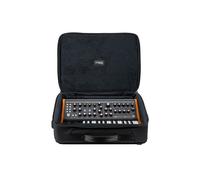 Moog Subsequent 25 SR Case