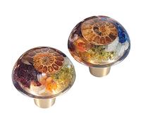 mookaitedecor Set di 2 pomelli per cassetti in pietra di cristallo chakra, con viti, in resina fossile, ammonite, reiki, per cassettiera, credenza, cucina, guardaroba, decorazione per la casa