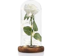 MOOKLIN ROAM Rosa Eterna, Bella e la Bestia Rose e Lampada a LED con Cupola in Vetro e Base in Legno, Sorpresa Regalo per Valentine's Day et Anniversario di Matrimonio, Perfetti Decorazione
