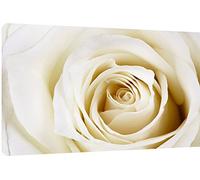 MOOL "Bella Rose, Colore: Bianco Stampa Artistica da Parete su Tela, con Motivo, Misura Grande, 81 x 56 cm