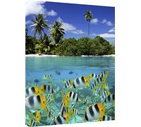 MOOL Coral Reef Tela Artistica da Parete con Stampa, Misura Grande, Colore: Blu, 81 x 56 cm