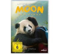 Moon - Der Panda (DVD)