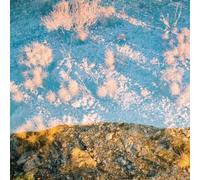 Moon Gangs Earth Loop (Vinyl LP) 12" Album