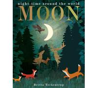 Moon: night-time around the world