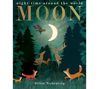 Moon: night-time around the world