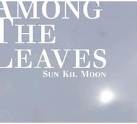 Moon, Sun Kil - Among The Leaves