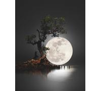 Moonlight Magic: Witch & Tree Silhouette Composition Notebook for Halloween and Fantasy Lovers: A Mysterious Full Moon Notebook with Spooky Witch ... Back to School, Journaling, or Gift-Giving