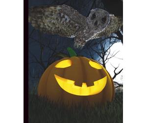 Moonlit Pumpkin & Owl Composition Notebook | Matte Cover | 7.5 x 9.25 in.: Halloween-Themed Writing Journal with Glowing Jack-o’-Lantern and Night Owl ... Fall Notes, Stories, or Spooky School Days