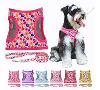Moonpet Step in Air, Set con pettorina e guinzaglio per cani, in rete, riflettente, anti-tiro, riflettente, anti-tiro, per gatti, cuccioli, cani da XS, piccola, media e grande, motivo romantico Sakura
