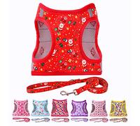 Moonpet Step in Air, Set con pettorina e guinzaglio per cani, motivo floreale, imbottita, in rete, riflettente, anti-tiro, per gatti, cuccioli di taglia XS, S, M, L, XXS