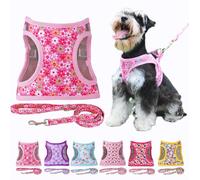 Moonpet Step in Air Set di pettorina per cani con guinzaglio, per tutte le stagioni, riflettente, anti-tiro, con motivo floreale, imbottita, in rete, per gatti e cuccioli di taglia M, rosa con fiore