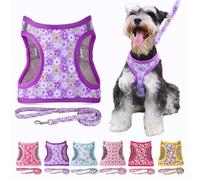 Moonpet Step in Air Set di pettorina per cani con guinzaglio, per tutte le stagioni, riflettente, anti-tiro, con motivo floreale, imbottita, in rete, per gatti e cuccioli di taglia XS, viola con fiore