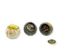 MoonTea | Tè Pu Erh al Mandarino Verde - 5 pz | Tè Cinese