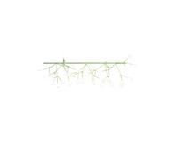 Moooi Heracleum 3 Endless Lampada da Sospensione Verde