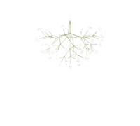Moooi Heracleum 3 Suspended Lampada da sospensione - design Marcel Wanders LARGE Verde
