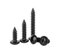 MOOPW Testa tonda Viti per legno - Acciaio inossidabile 304 Zincato Nero Viti autofilettanti Croce Testa di Pan Coda a punta Viti auto perforazione M2.6 x 8mm 100 Pcs