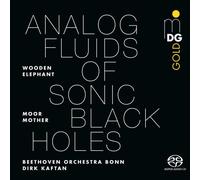 Moor Mother, Beethoven Orchestra Bonn - Analog Fluids Of Sonic Holes