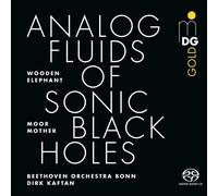 Moor Mother, Wooden Elephant, Beethoven Orchester Bonn Analog Fluids of Son (CD)