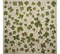 Daniel Martin Moore Turned Over to Dreams (CD) Album