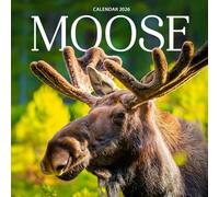 Moose 2026 Calendar: Wildlife Photography of Majestic North American Giants