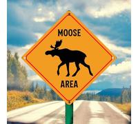 Moose Area Targa in metallo 30,5 x 30,5 cm "Beware of Danger Animals No Rust Safety Yellow Warning Targa in alluminio per strada Periferia Zoo Parco Street Yard Decorazione da parete