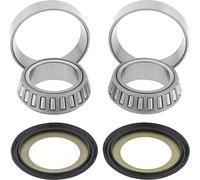 MOOSE RACING 22-1010 KIT CUSCINETTI PER CANNOTTO DI STERZO HONDA CR 250 R 2001