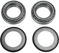 MOOSE RACING 22-1061 KIT CUSCINETTI PER CANNOTTO DI STERZO HUSQVARNA CR 125 2010