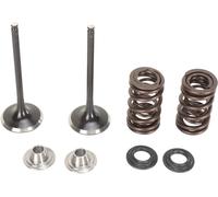 MOOSE RACING M40-40350 KIT VALVOLA DI ASPIRAZIONE E MOLLA KAWASAKI KX 250 F 2016