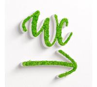 MOOSWERK Set di targa per porta WC e freccia, moderna, muschio e guida con vero muschio islandese, per ufficio, pratica e hotel (bianco, set WC con freccia curva)