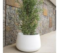 Moovere vaso rotondo bianco grande 79 x 46,5 cm, fioriera per esterno e interno, giardino, terrazza e piscina - Camelia 80
