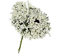 Mopec F360 - Confezione da 12 palline in gomma, multicolore, taglia unica