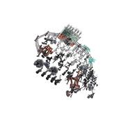 mophrati I giocattoli di soldatini d'azione dei cavalieri sono intriganti compagni di gioco con figure cavalli per un gioco ruolo migliorato. Soldatini giocattolo, cavalli plastica, set da per