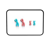 mophrati Kit dimostrativo di osservazione dettagliata dei cambiamenti cromosomici per comprendere i concetti di meiosi in biologia, esperimenti scientifici per bambini, insegnamento della biologia