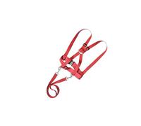 mophrati L'imbracatura da passeggio per bambini garantisce stabilità Caratteristiche regolabili adatte a tutte le forme e dimensioni L'imbracatura da gioco per bambini è, Rosso, Da 39.5 cm a 63 cm