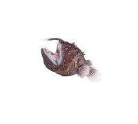 mophrati Modello realistico di animale marino - Creature degli abissi marini di pescatore per set da gioco prescolare ma anche come oggetto scena per la collezione figurine giocattoli pesce