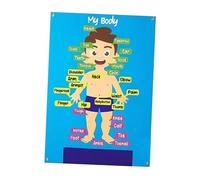 mophrati Set di tavole didattiche con parti del corpo in feltro resistente, idea regalo per le esigenze di sviluppo educativo dei bambini in età prescolare, insegnamento educativo umano, narrazione