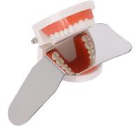 mophrati Specchi per fotografia ortodontica sterilizzazione ad pressione, riflettore in acciaio inossidabile professionale e pratico