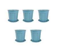 mophrati Vasi per Piante Trasparenti con Fori per la Ventilazione delle Orchidee e Vassoio Attrezzato per filtraggio della Luce Non Macchia i vasi per Piante da Pavimento per Interni, Blu