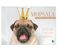 Mopsala: Vom Glück, ein Mops zu sein (Wandkalender 2026 DIN A4 quer), CALVENDO Monatskalender: Humorvolles und geistreiches über den besten Freund des Menschen
