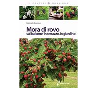 Mora di rovo sul balcone, in terrazzo, in giardino