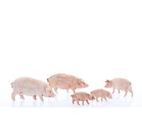 Moranduzzo 5 Maiali Assortiti per Presepe da Cm 10 Scala 1:20 - Statuine Presepe Indistruttibili - Pittura Rifinita a Mano, Prodotto Ufficiale, Made in Italy, Scultore M. Landi