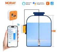 Moray 10M ME202R RF433MHz Allarme remoto ad alta precisione Display della temperatura a LED Sensore di livello del serbatoio sommergibile WIFI