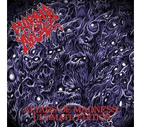 Morbid Angel Altars of Madness: Ultimate Edition (CD) Album