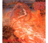 Morbid Angel Blessed Are the Sick (CD) Album Digipak
