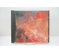Morbid Angel - Blessed Are The Sick Reissue