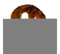 Morbida bambola luminosa che può essere utilizzata come cuscino. Peluche luminoso per un'atmosfera accogliente. Per cameretta dei bambini, auto, viaggi, compleanni, matrimoni e Halloween