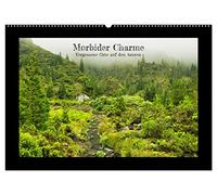 Morbider Charme - Vergessene Orte auf den Azoren - (Wandkalender 2026 DIN A2 quer), CALVENDO Monatskalender: Lost Places auf den Azoreninseln Pico und São Miguel