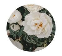 Morbidi tappeti circolari bianchi verdi lavabili 160cm - Camera da letto floreale Boho Tappeto rotondo Sala da pranzo botanica resistente alle macchie per l'ufficio del corridoio